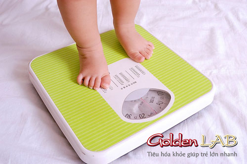 Giải pháp cho trẻ chậm tăng cân